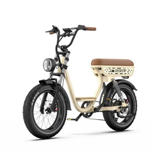 Vélo électrique ONESPORT W77, Moteur 250W, Batterie 48V18AH